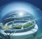 Nemo's Underwater Garden