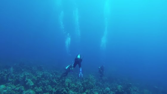 Scuba Divers Experience Annoying Pings of A Submarine's Sonar - For ...
