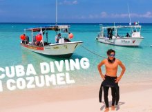 Scuba Diving In Cozumel