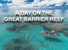 Dive The Great Barrier Reef