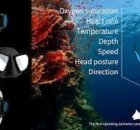 OXAMA - THE FIRST SPEAKING OXIMETER COMPUTER DESIGNED FOR FREEDIVING