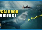 Megalodon Alive or Not -Evidence Reviewed
