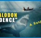 Megalodon Alive or Not -Evidence Reviewed