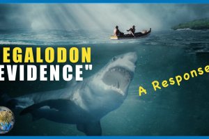 Megalodon Alive or Not -Evidence Reviewed