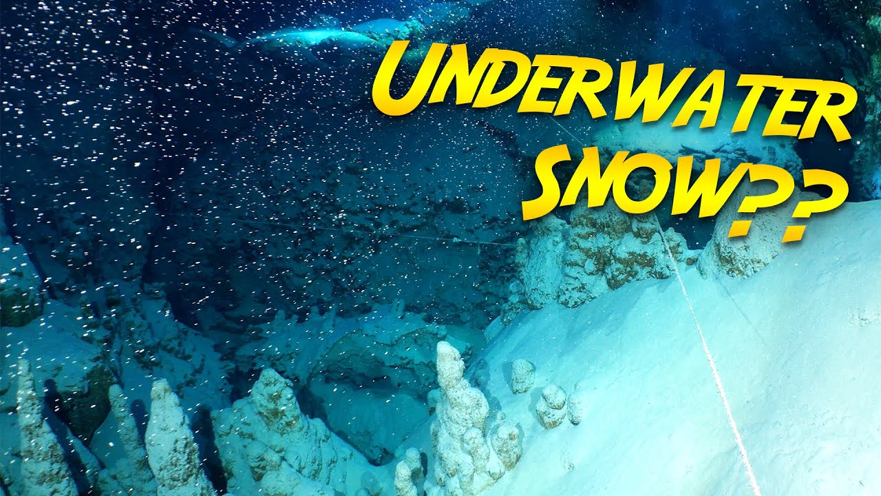 "Snowy" Underwater Ocean Cave Exploration