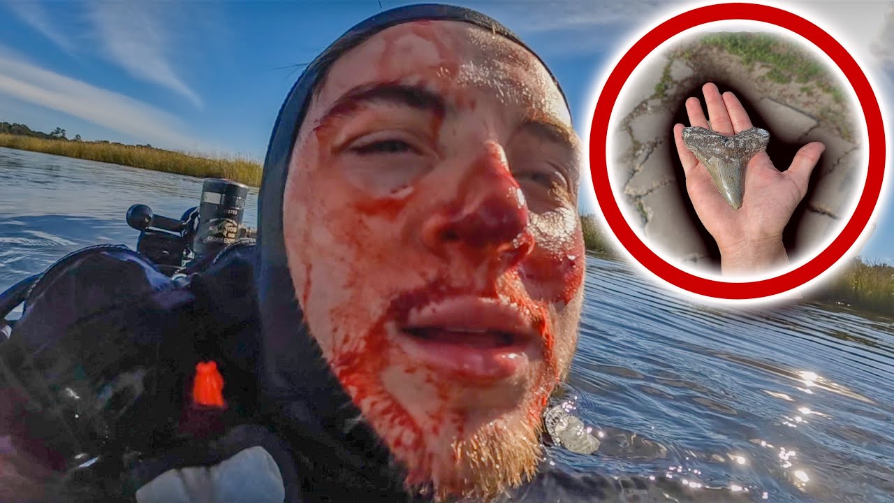 Blackwater Diving For The $1M Megalodon Tooth