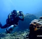 Diving Nusa Penida - Great Diving and Vacationing